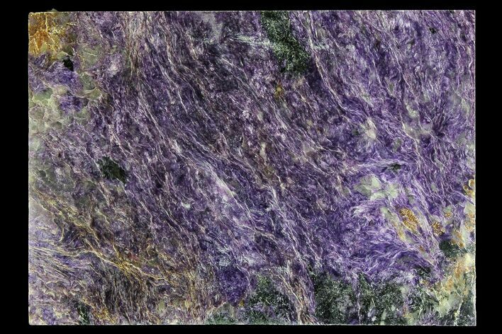 Purple Polished Charoite Slab - Siberia #179581